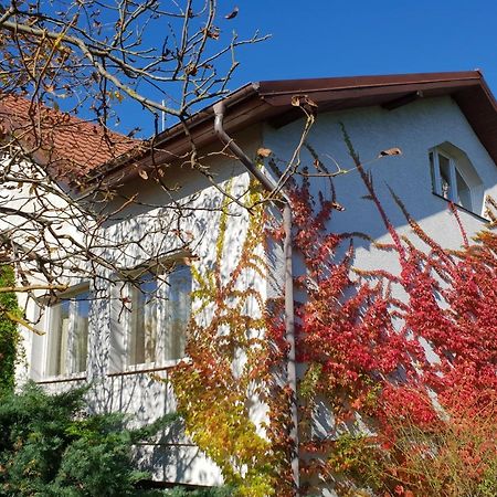 Borowe Kt Villa วาร์กา ภายนอก รูปภาพ