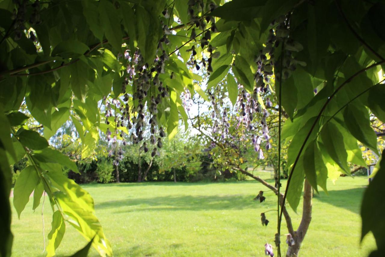 Borowe Kt Villa วาร์กา ภายนอก รูปภาพ